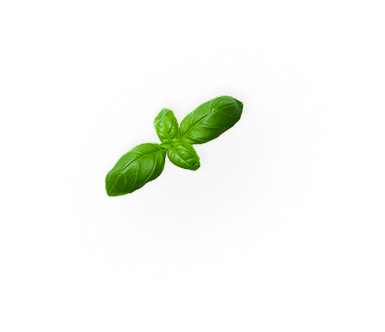 Capri Basil