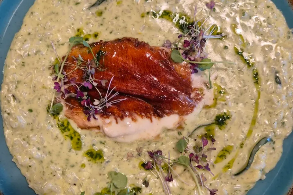 Medvehagymás, cukkinis rizottó grillezett taleggio sajttal (L)