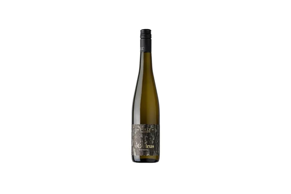 Folly Cédrus 2023 - Capri Wine market